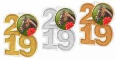 Medaile MDA201931